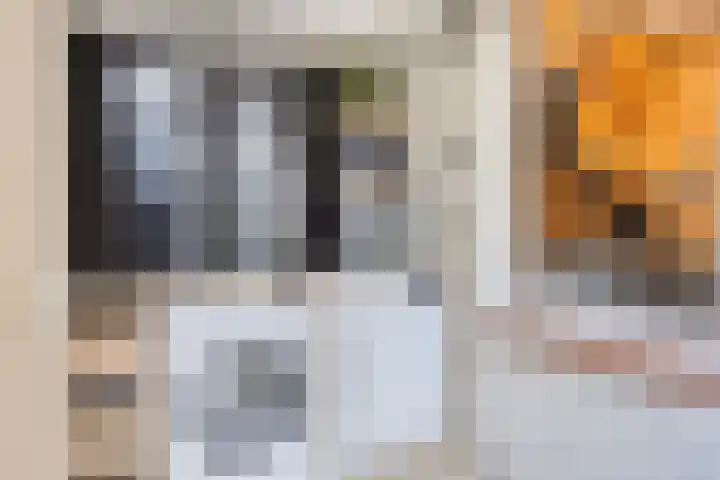 Prins Bernhardstraat 22 Wolphaartsdijk thumbnail 21