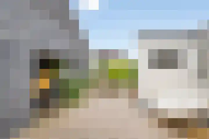 Prins Bernhardstraat 22 Wolphaartsdijk thumbnail 36
