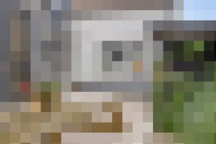 Prins Bernhardstraat 22 Wolphaartsdijk thumbnail 37