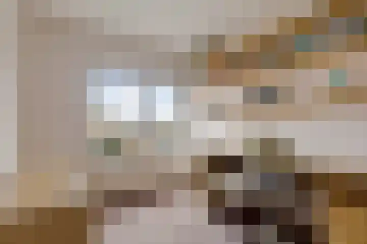 Prins Bernhardstraat 23 Hillegom thumbnail 33
