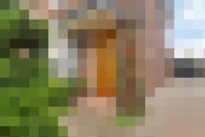 Prins Bernhardstraat 23 Hillegom thumbnail 5