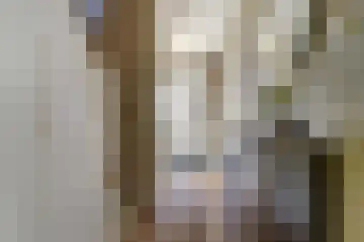 Prins Bernhardstraat 23 Meerkerk thumbnail 19