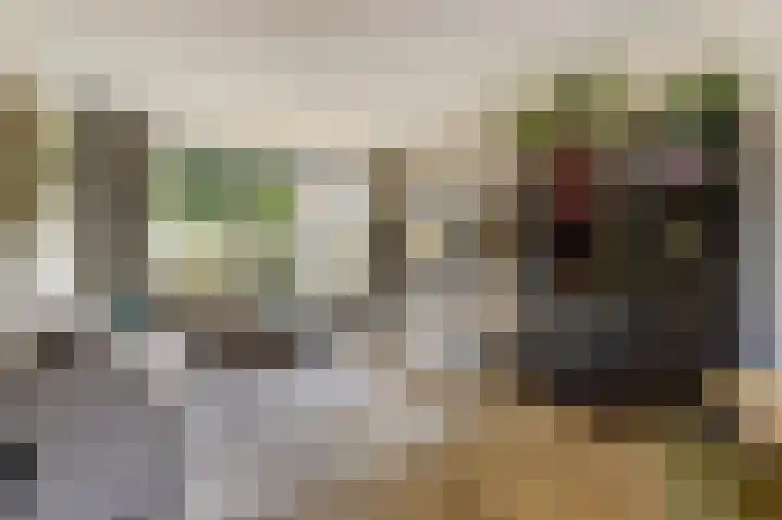 Prins Bernhardstraat 23 Meerkerk thumbnail 8