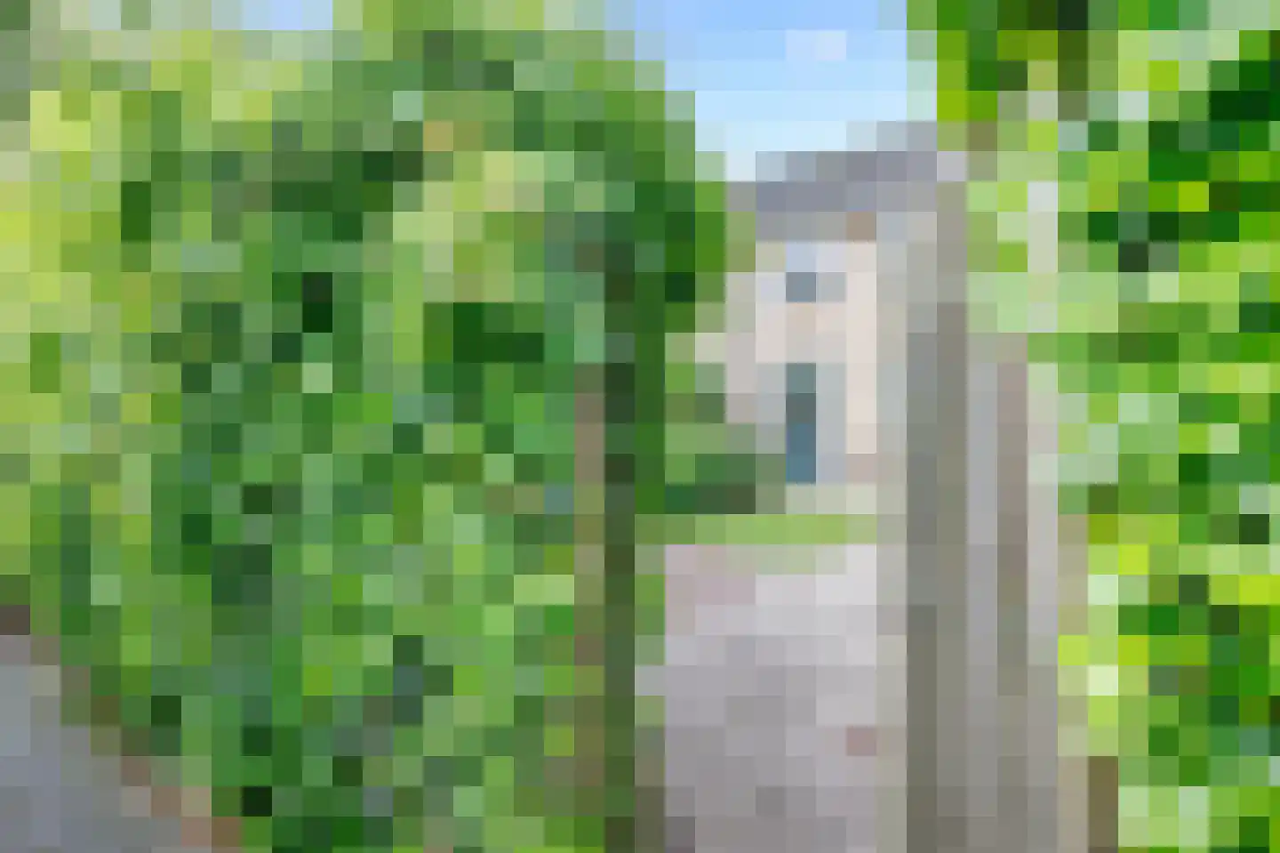 Prins Bernhardstraat 24 Berkenwoude thumbnail 29