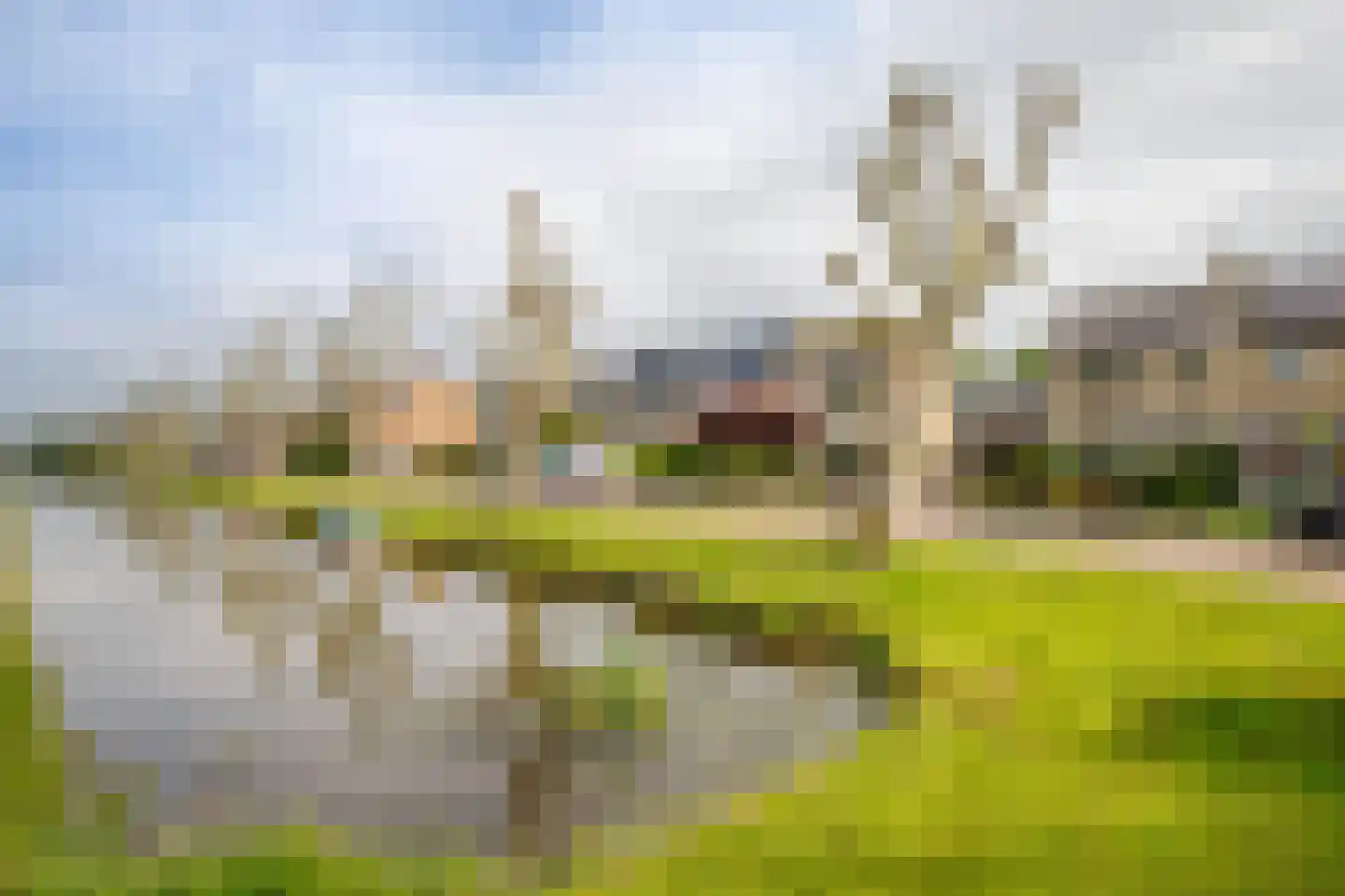 Prins Bernhardstraat 24 Berkenwoude thumbnail 31