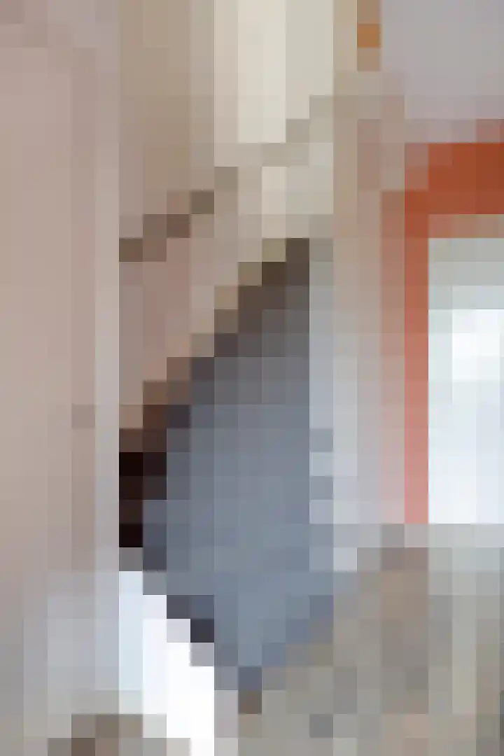 Prins Bernhardstraat 24 Smilde thumbnail 8