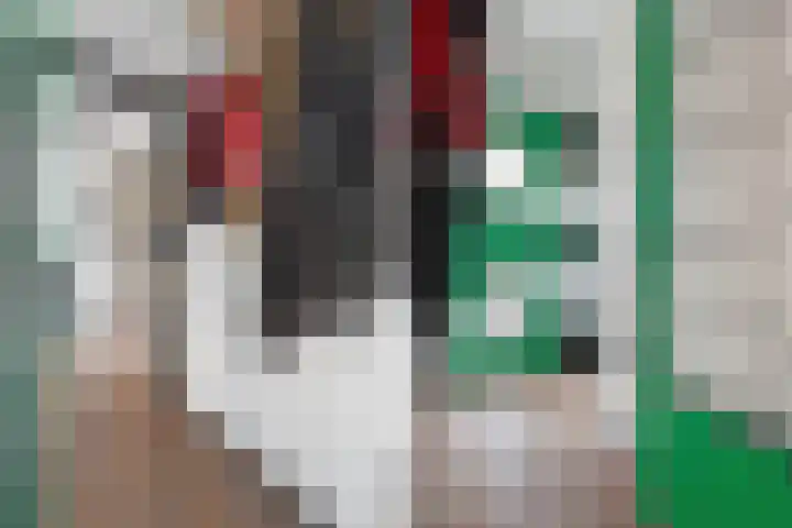 Prins Bernhardstraat 25 Heino thumbnail 12