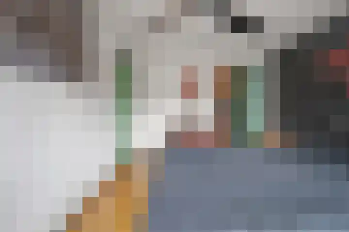 Prins Bernhardstraat 25 Heino thumbnail 16