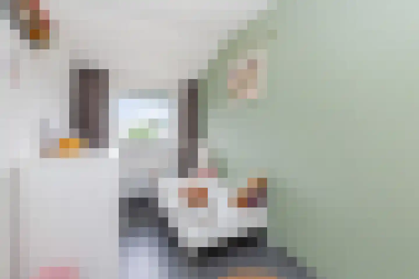 Prins Bernhardstraat 25 Ridderkerk thumbnail 22