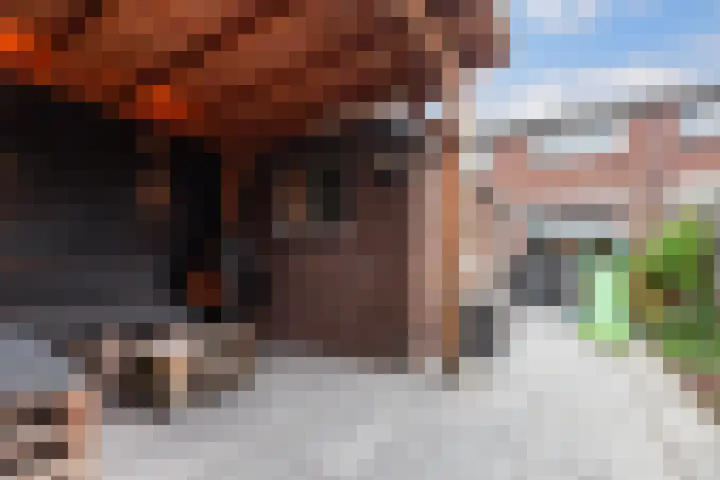 Prins Bernhardstraat 25 Ridderkerk thumbnail 30