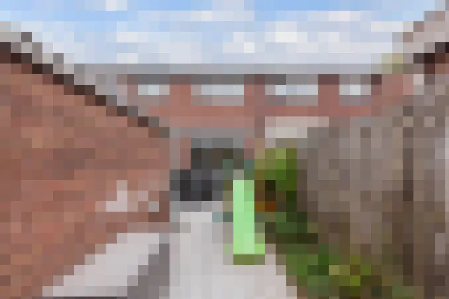 Prins Bernhardstraat 25 Ridderkerk thumbnail 33