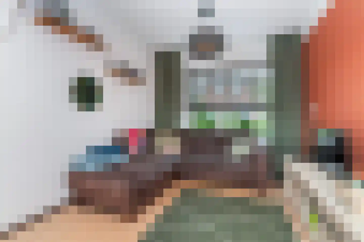 Prins Bernhardstraat 25 Ridderkerk thumbnail 8