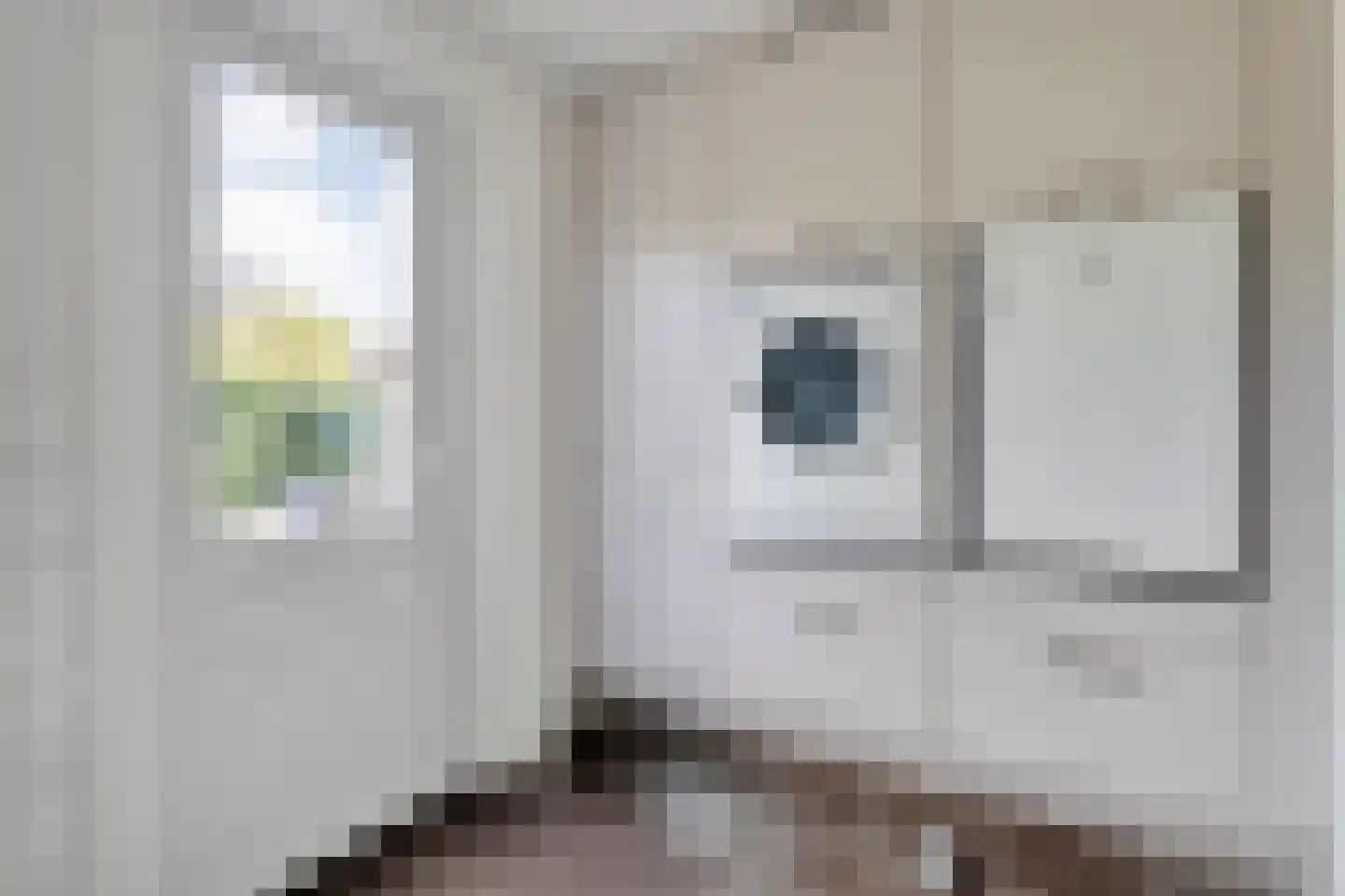 Prins Bernhardstraat 25 Steenwijk thumbnail 27