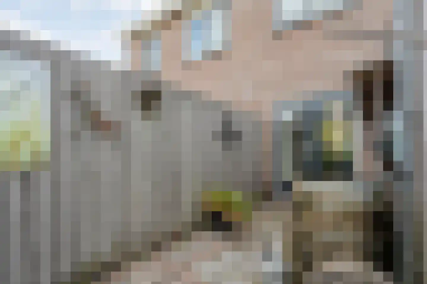 Prins Bernhardstraat 25 Steenwijk thumbnail 44