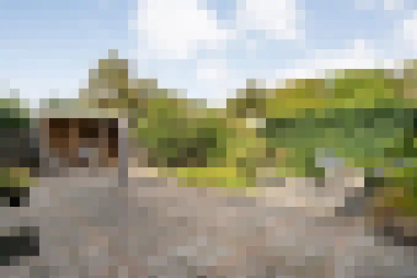 Prins Bernhardstraat 25 Steenwijk thumbnail 45