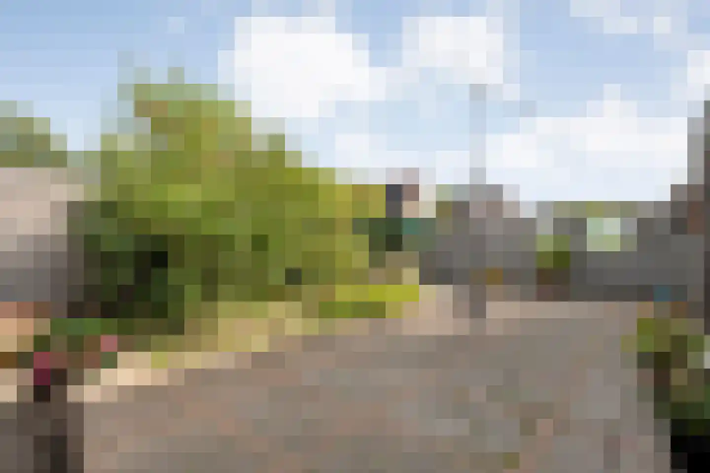 Prins Bernhardstraat 25 Steenwijk thumbnail 49