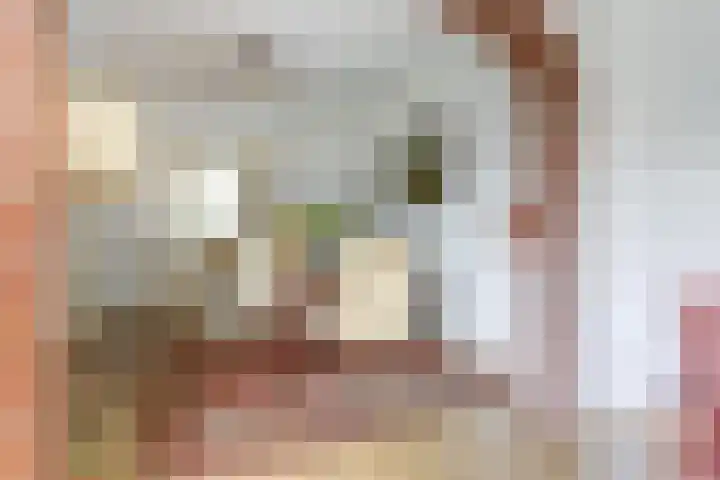 Prins Bernhardstraat 26 Dongen thumbnail 15
