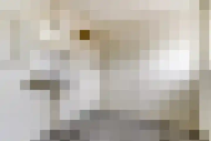Prins Bernhardstraat 26 Dongen thumbnail 32