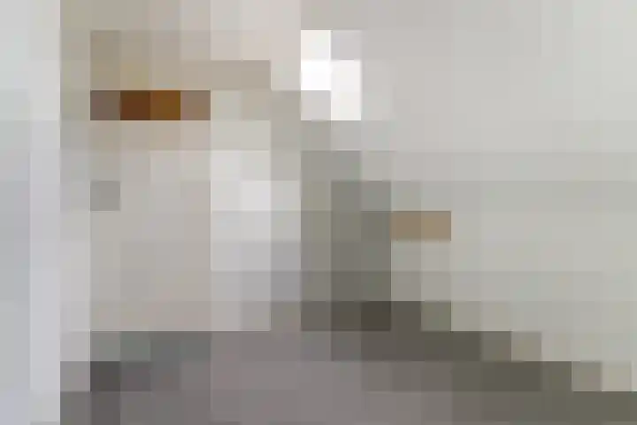 Prins Bernhardstraat 26 Dongen thumbnail 34
