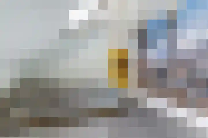 Prins Bernhardstraat 26 Dongen thumbnail 35