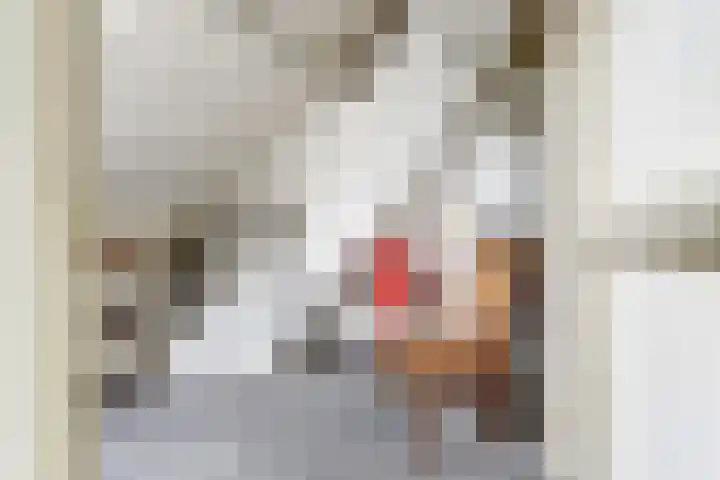 Prins Bernhardstraat 26 Dongen thumbnail 37