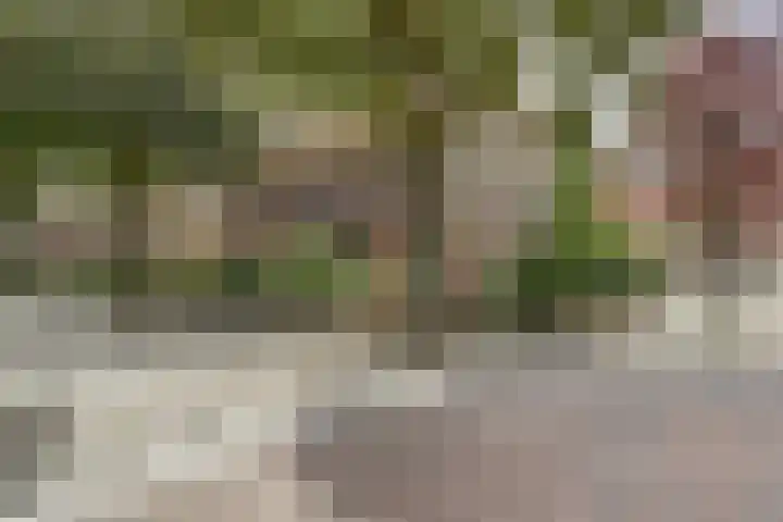 Prins Bernhardstraat 26 Dongen thumbnail 4