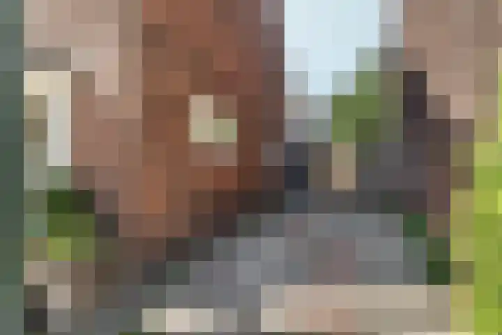 Prins Bernhardstraat 27 A Hilversum thumbnail 18