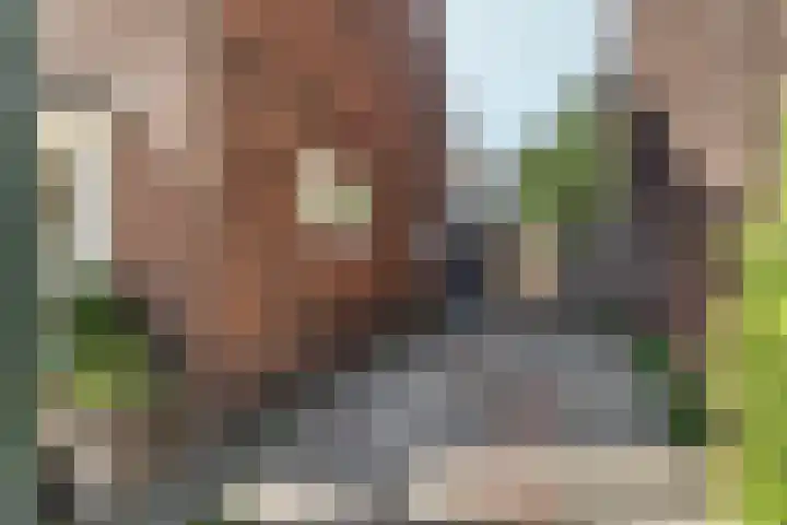Prins Bernhardstraat 27 C Hilversum thumbnail 22