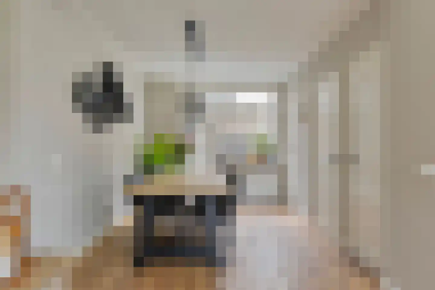 Prins Bernhardstraat 27 Heino thumbnail 12