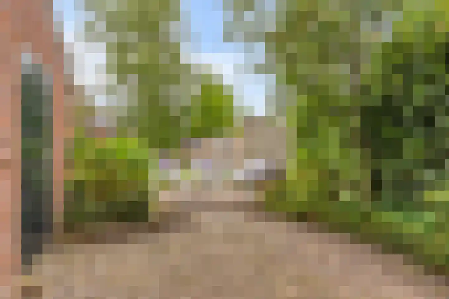 Prins Bernhardstraat 27 Heino thumbnail 36