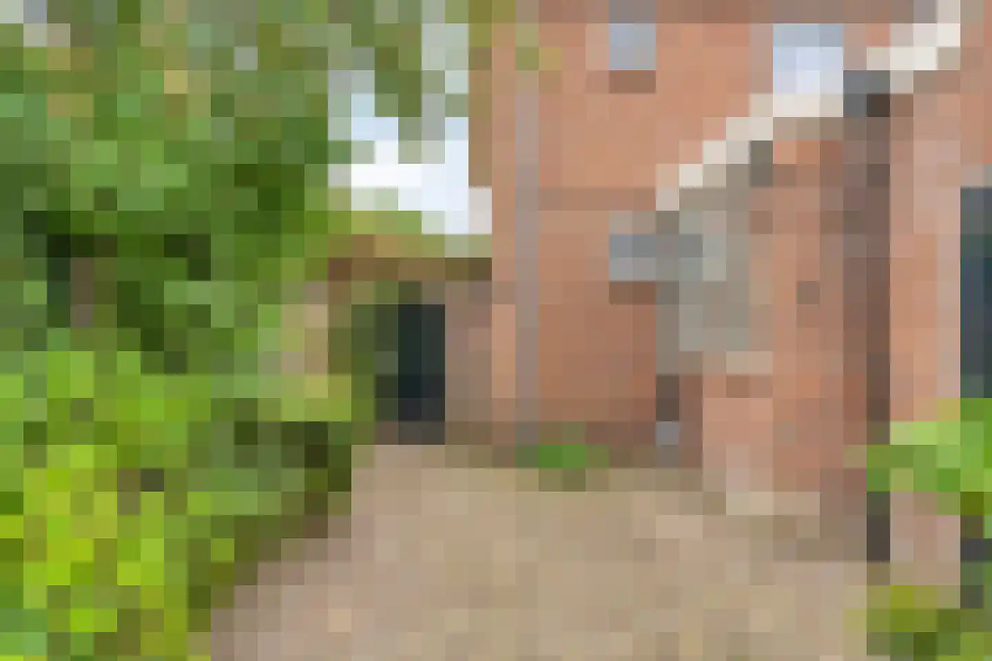 Prins Bernhardstraat 27 Heino thumbnail 38