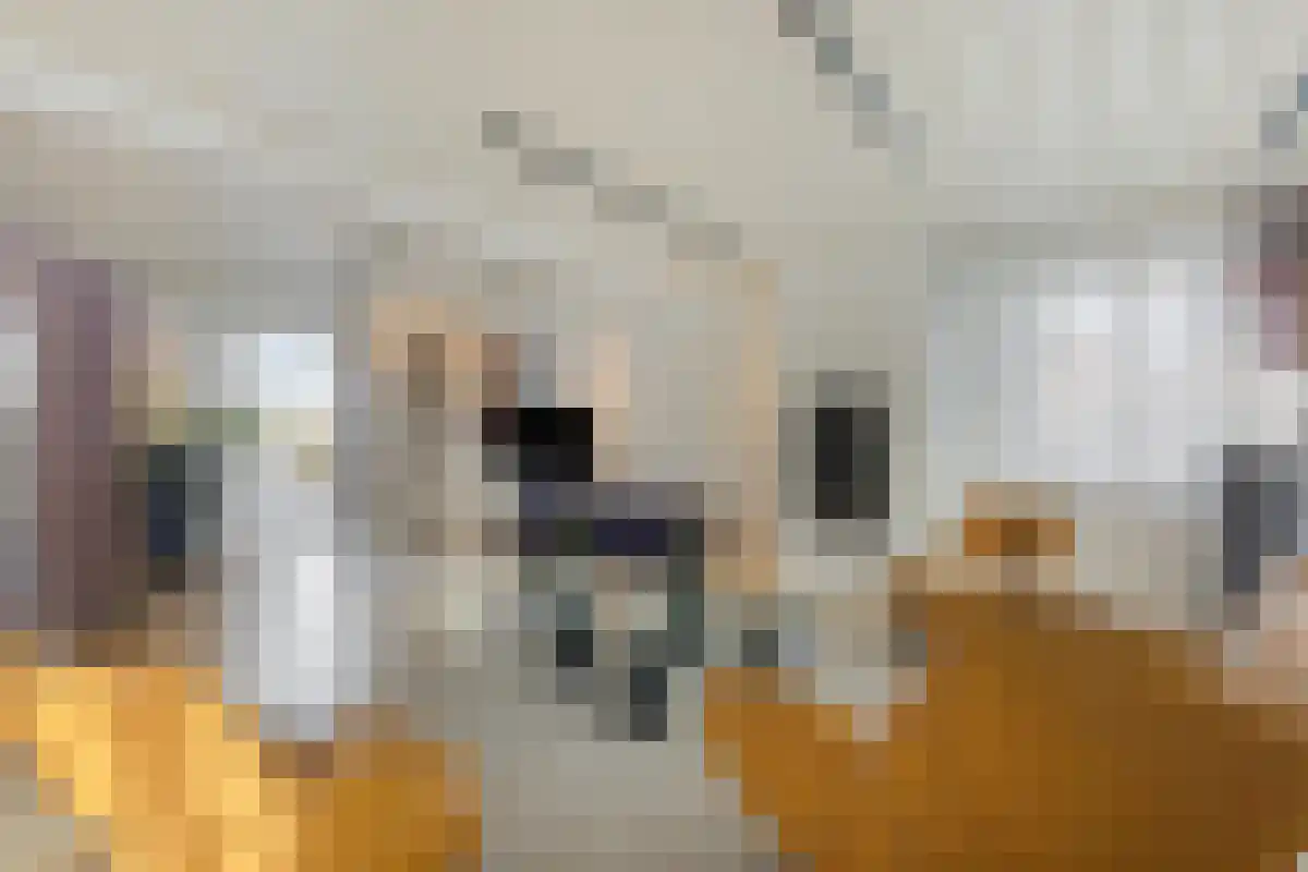 Prins Bernhardstraat 29 Asten thumbnail 35