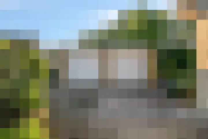 Prins Bernhardstraat 29 Ooltgensplaat thumbnail 31
