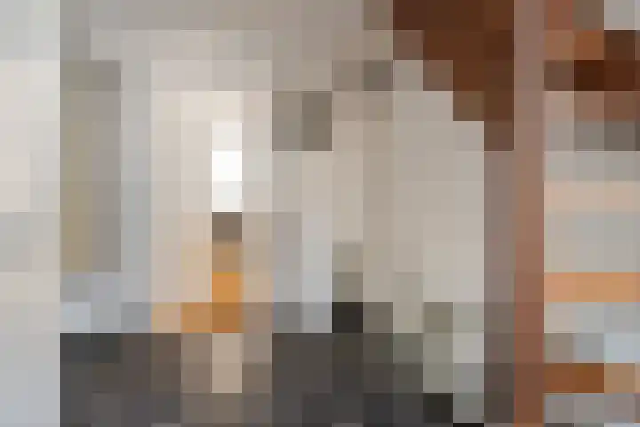 Prins Bernhardstraat 29 Ooltgensplaat thumbnail 6