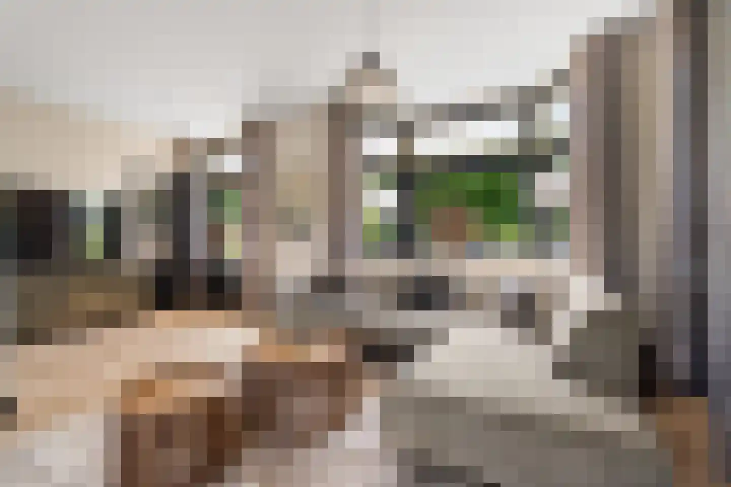 Prins Bernhardstraat 29 Vianen thumbnail 19