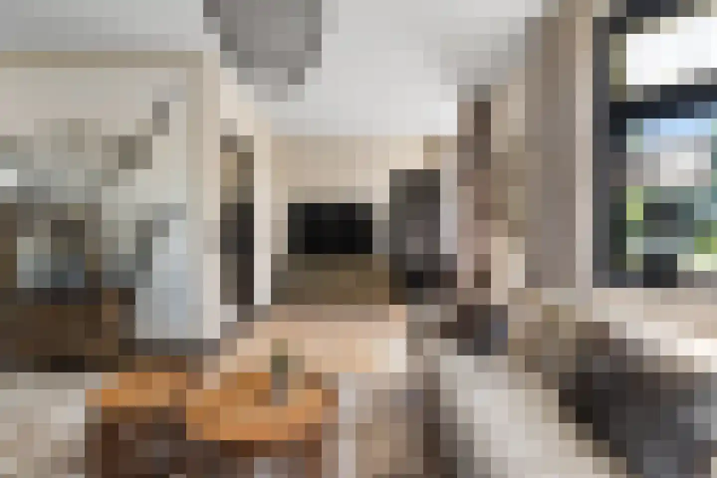 Prins Bernhardstraat 29 Vianen thumbnail 20