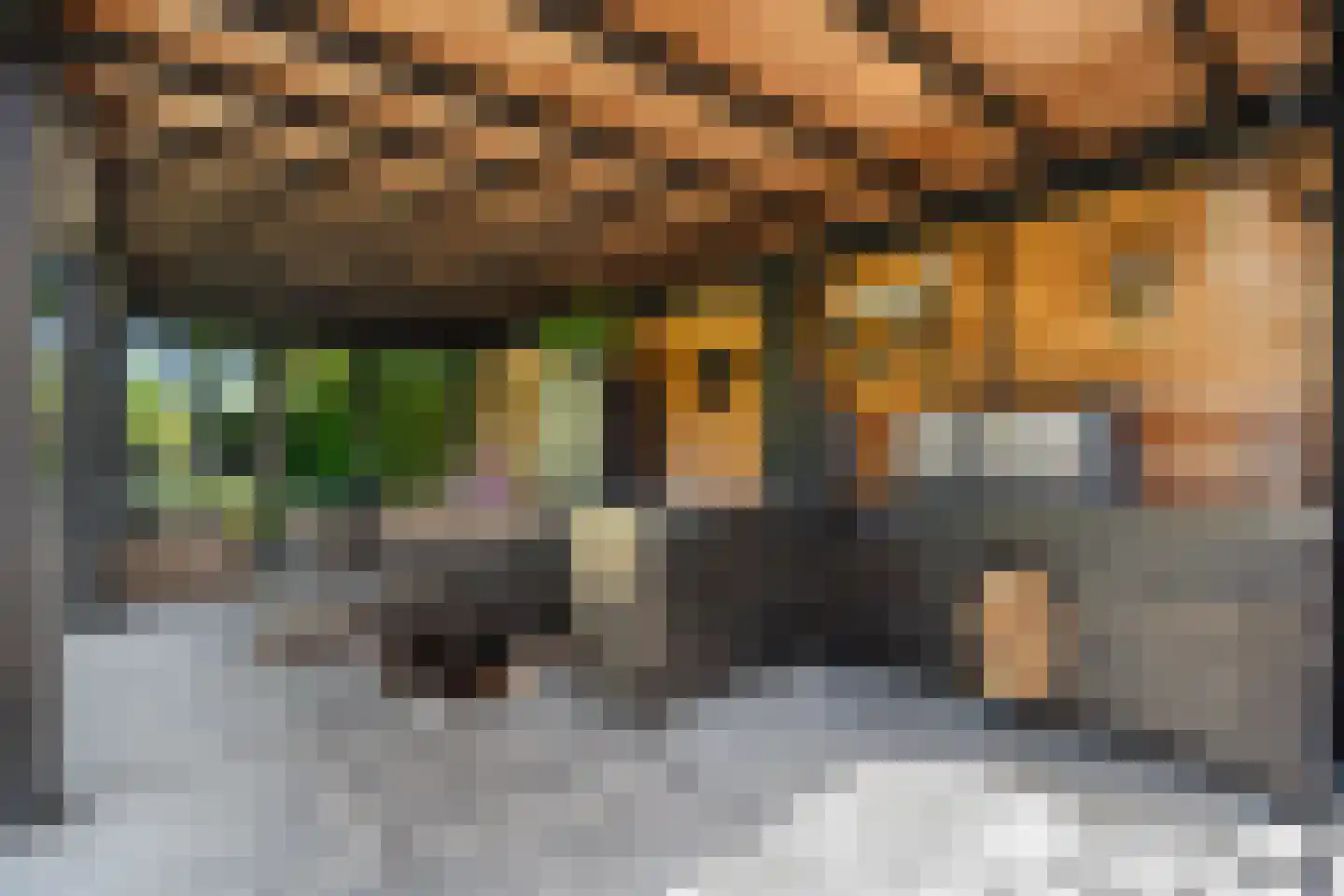 Prins Bernhardstraat 29 Vianen thumbnail 46