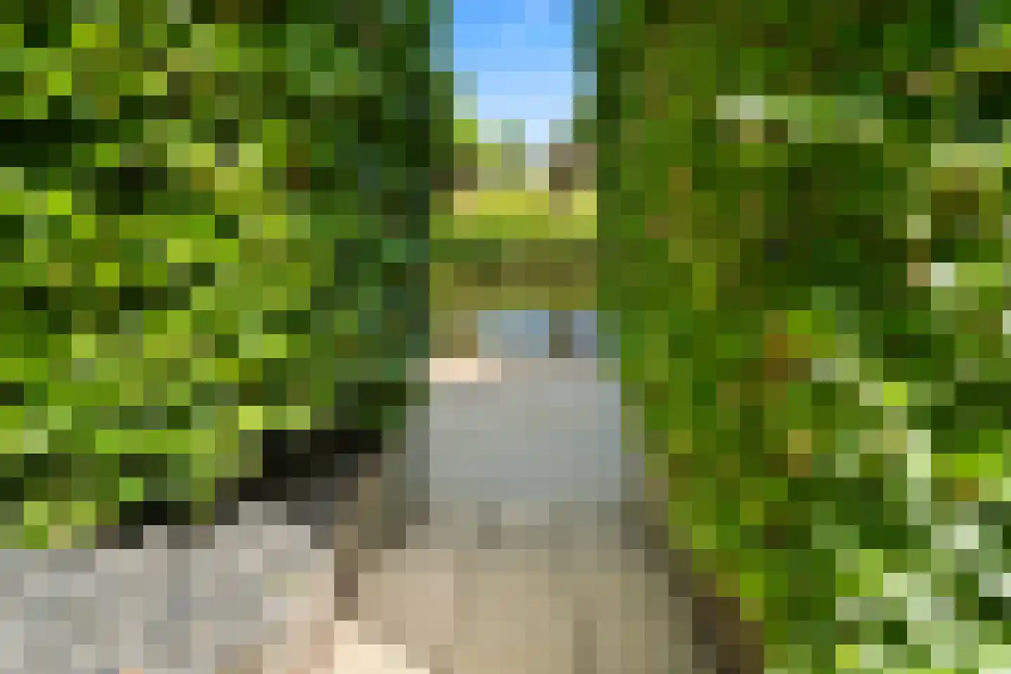 Prins Bernhardstraat 29 Vianen thumbnail 59