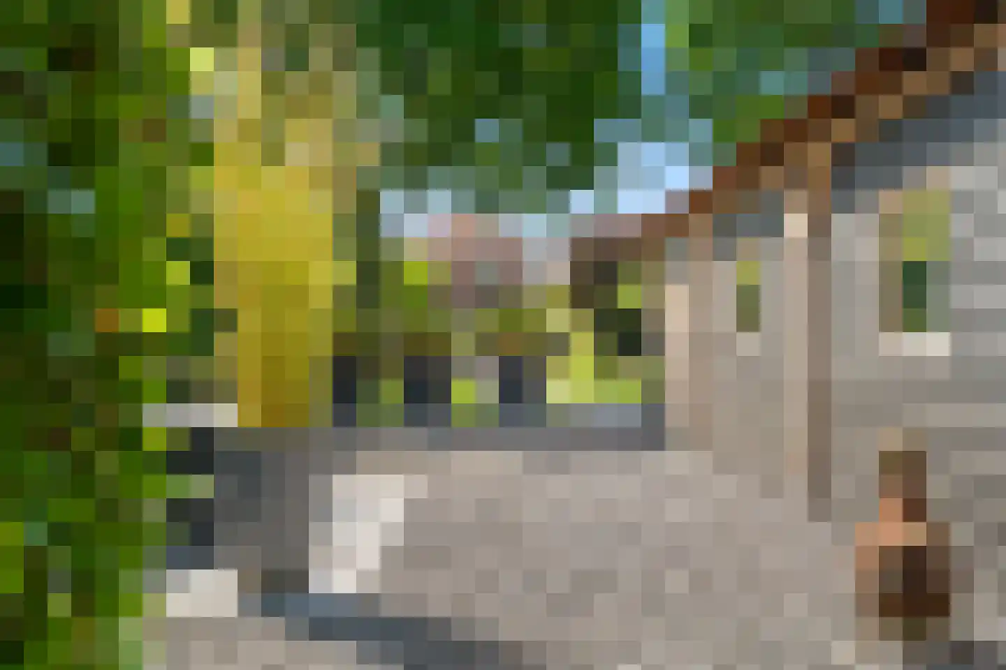 Prins Bernhardstraat 29 Vianen thumbnail 63