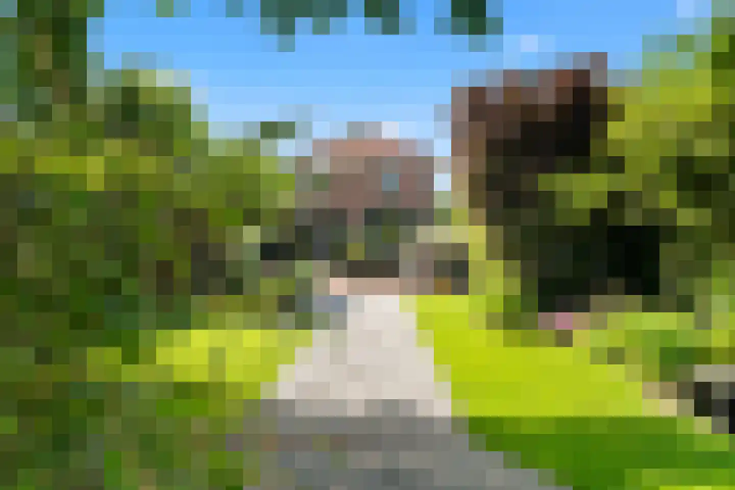 Prins Bernhardstraat 29 Vianen thumbnail 65