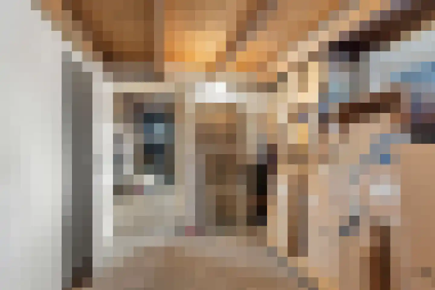 Prins Bernhardstraat 29 Vianen thumbnail 70