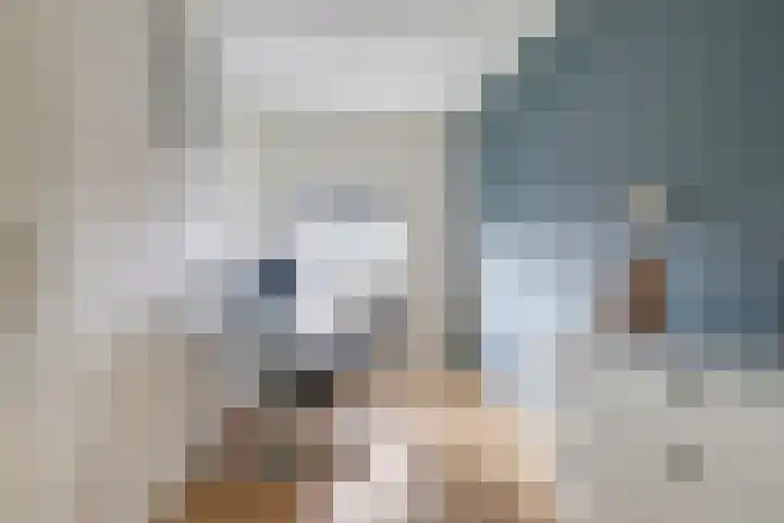 Prins Bernhardstraat 29 Wehl thumbnail 31