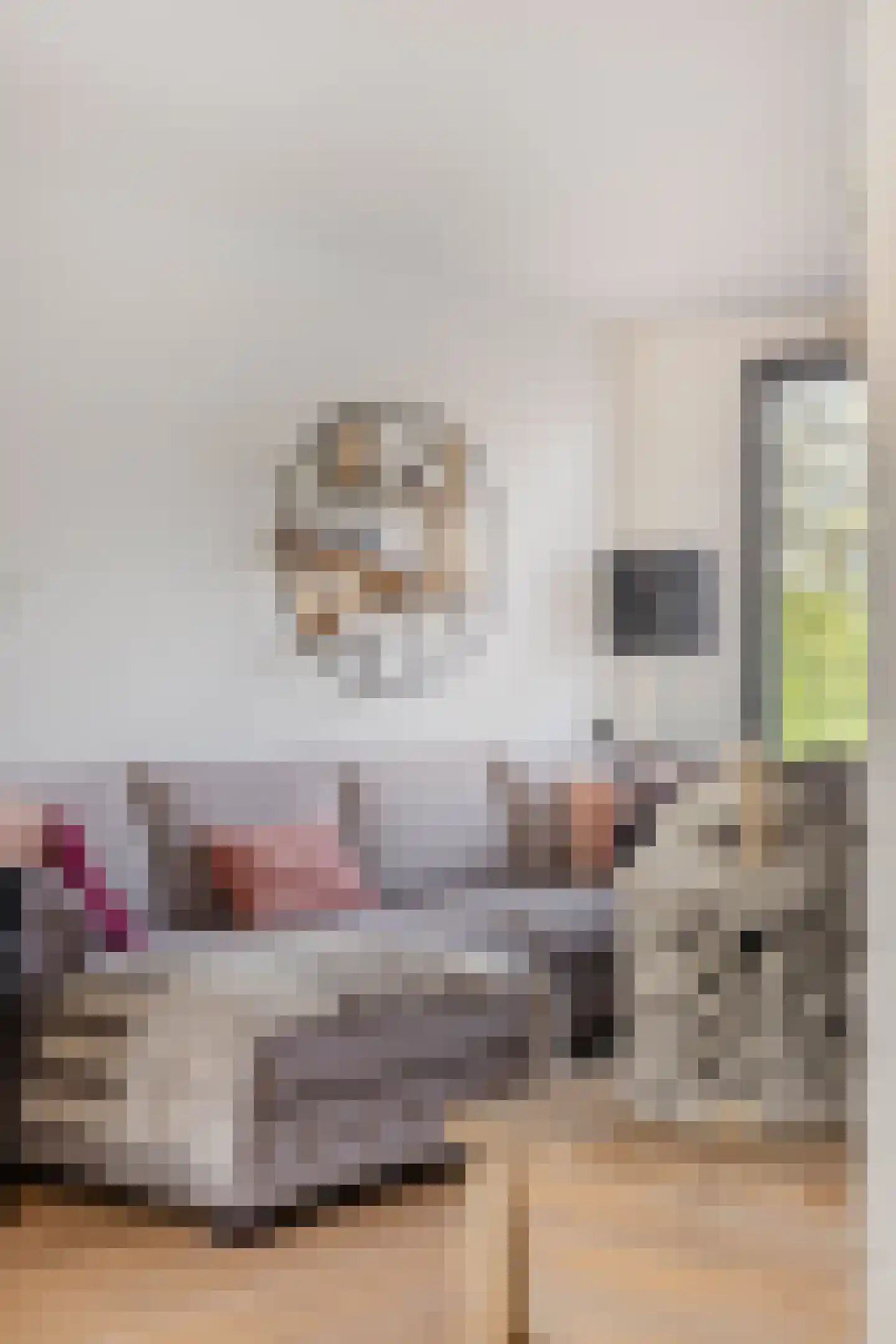 Prins Bernhardstraat 3 Berkenwoude thumbnail 12