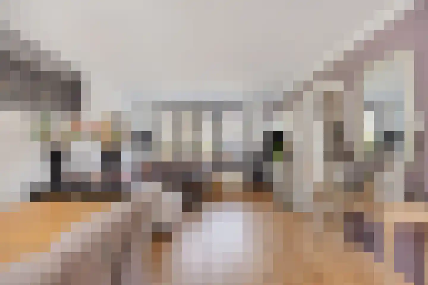 Prins Bernhardstraat 3 Berkenwoude thumbnail 14