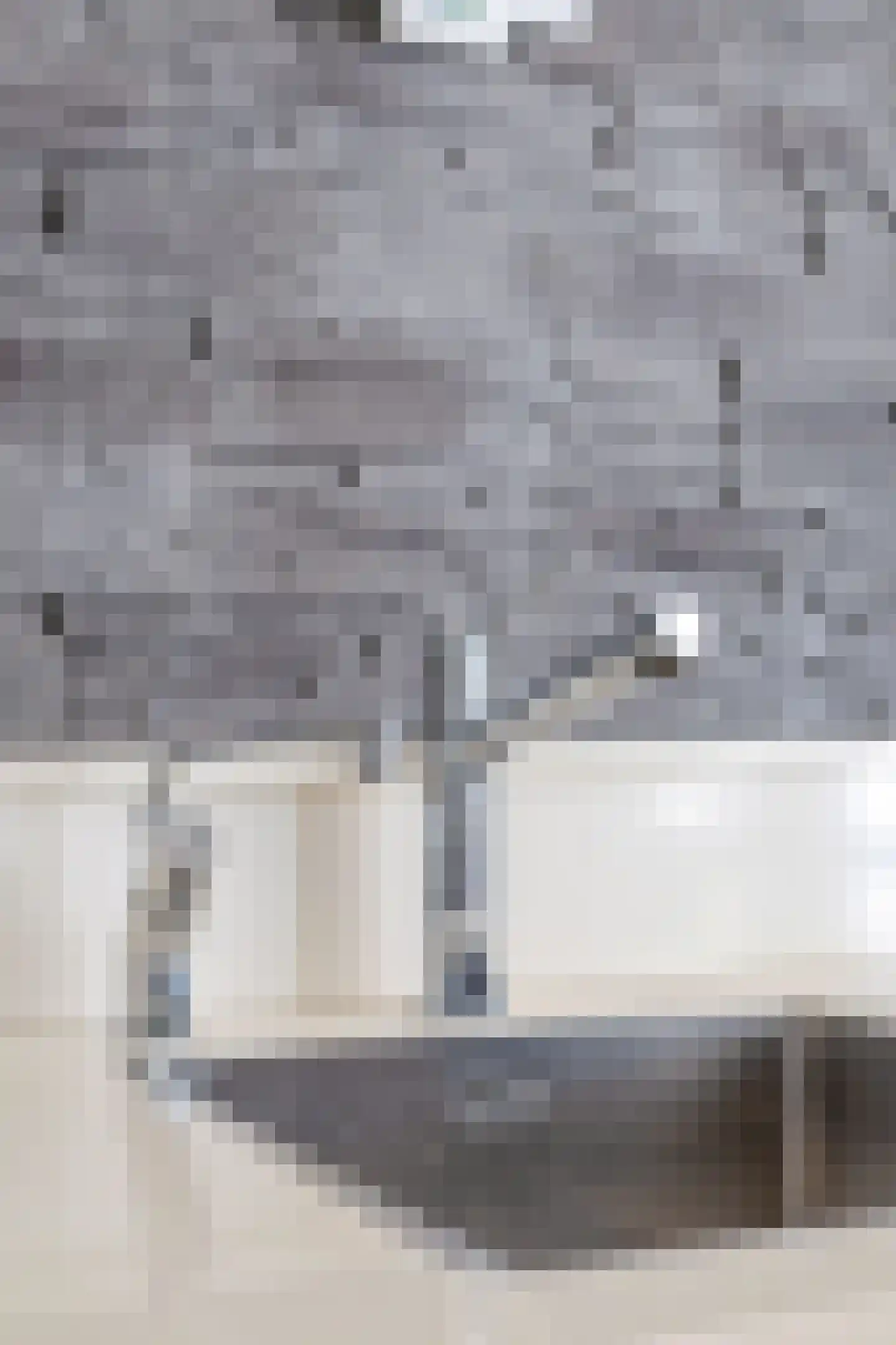Prins Bernhardstraat 3 Berkenwoude thumbnail 22