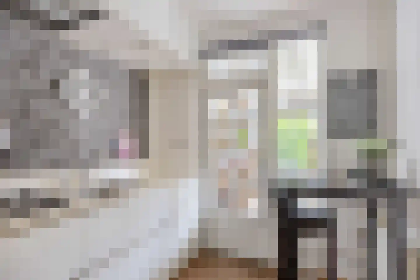 Prins Bernhardstraat 3 Berkenwoude thumbnail 25