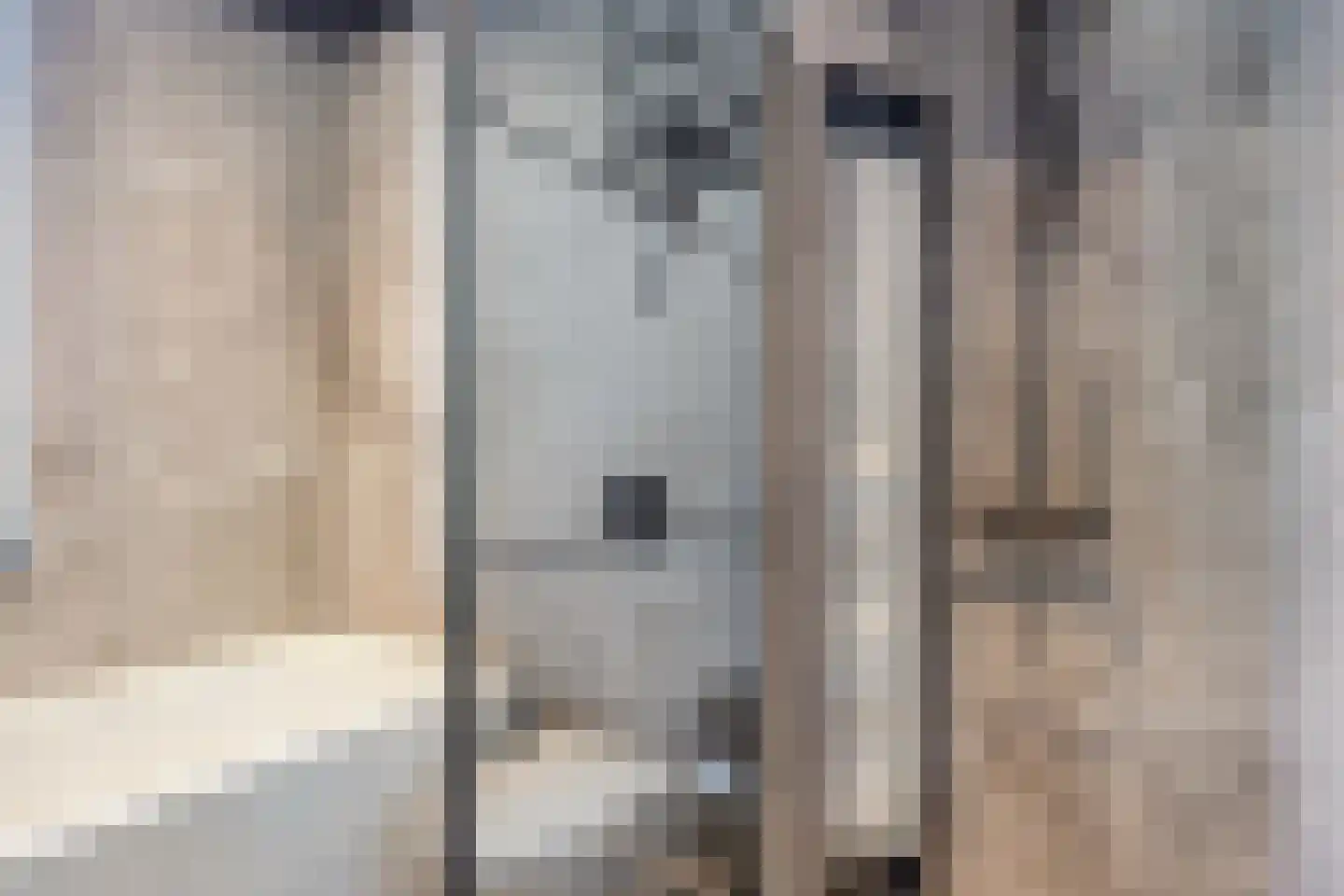 Prins Bernhardstraat 3 Berkenwoude thumbnail 37