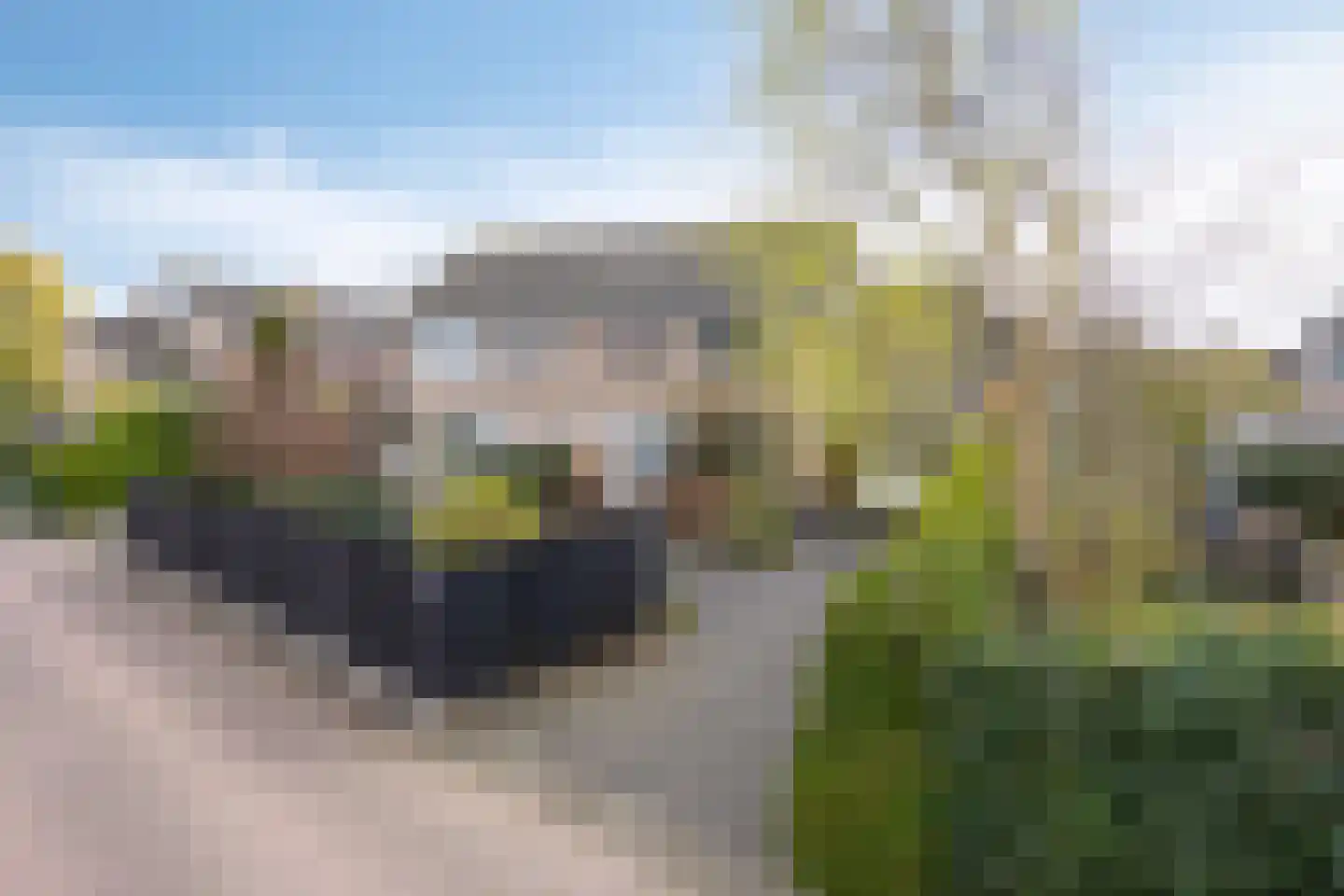 Prins Bernhardstraat 3 Berkenwoude thumbnail 4