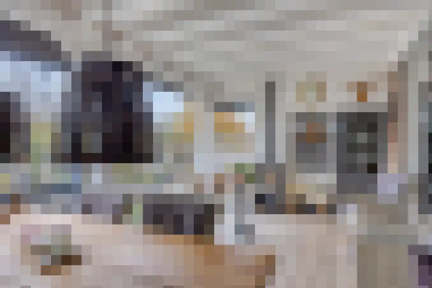 Prins Bernhardstraat 3 Berkenwoude thumbnail 52