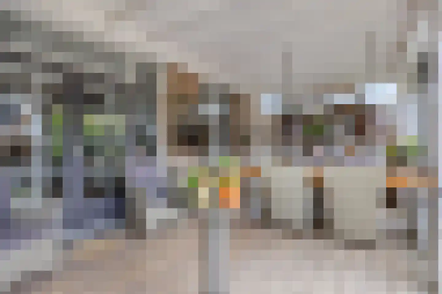 Prins Bernhardstraat 3 Berkenwoude thumbnail 55